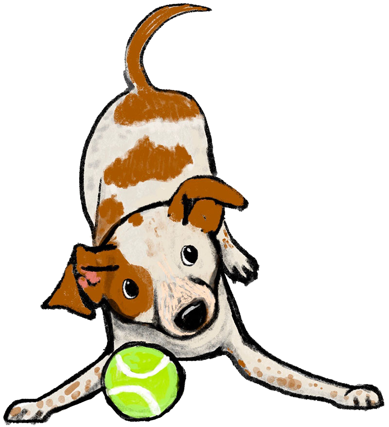 illustrated dog with tennis ball
